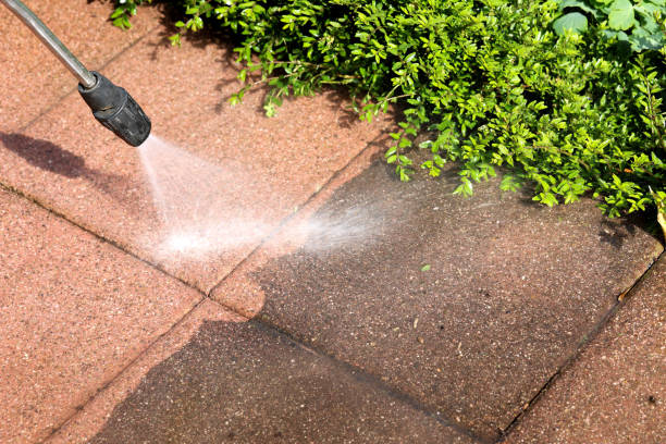 Deck Cleaning Services in Camino, CA